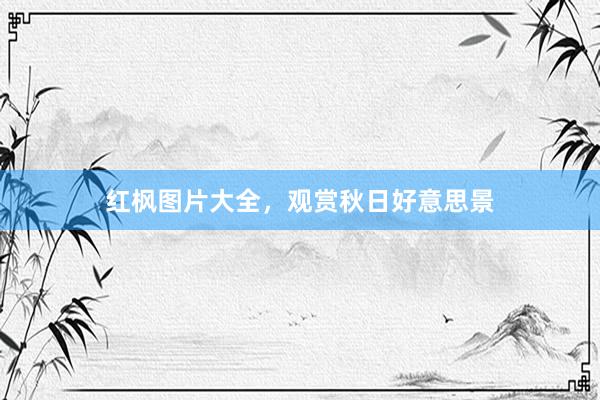 红枫图片大全，观赏秋日好意思景