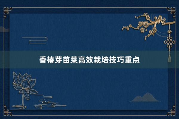 香椿芽苗菜高效栽培技巧重点