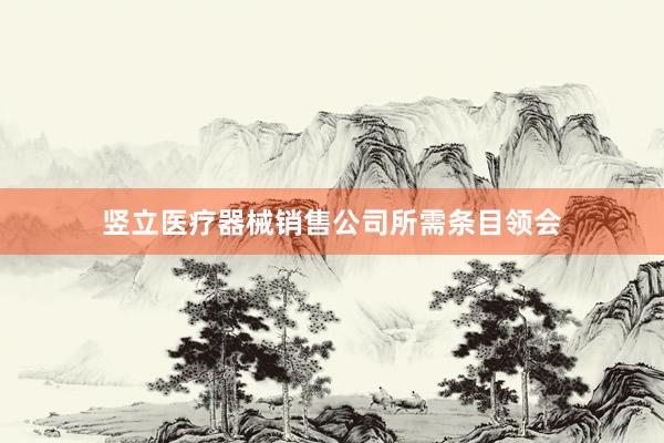 竖立医疗器械销售公司所需条目领会