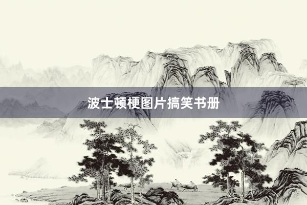 波士顿梗图片搞笑书册