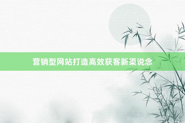 营销型网站打造高效获客新渠说念